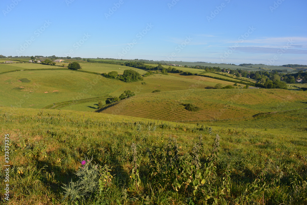 View from Donkey Lane trail over green fields towards Poyntington, Sherborne, Dorset, England