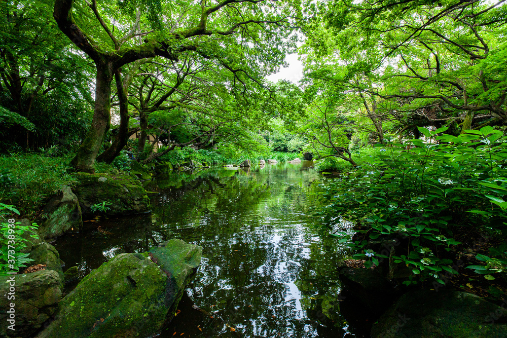 都内の川がある緑が綺麗な公園