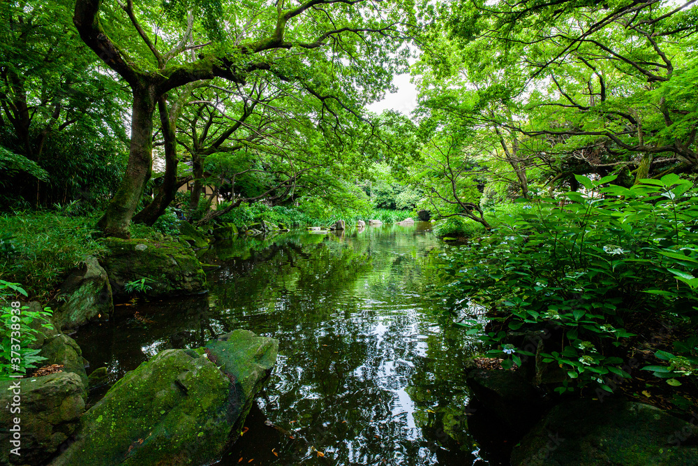 都内の川がある緑が綺麗な公園 都内の川がある緑が綺麗な公園