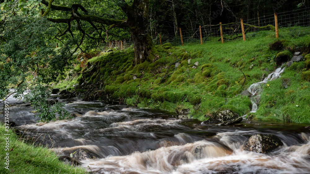 River in the forest, Rhiwagor Waterfall, Lake Vyrnwy, Wales, England, Europe River in the forest, Rhiwagor Waterfall, Lake Vyrnwy, Wales, England, Europe