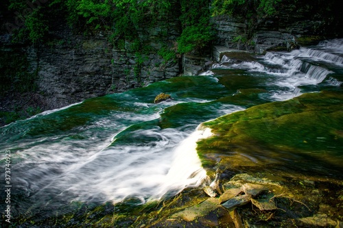 at the top of a waterfall in the forest