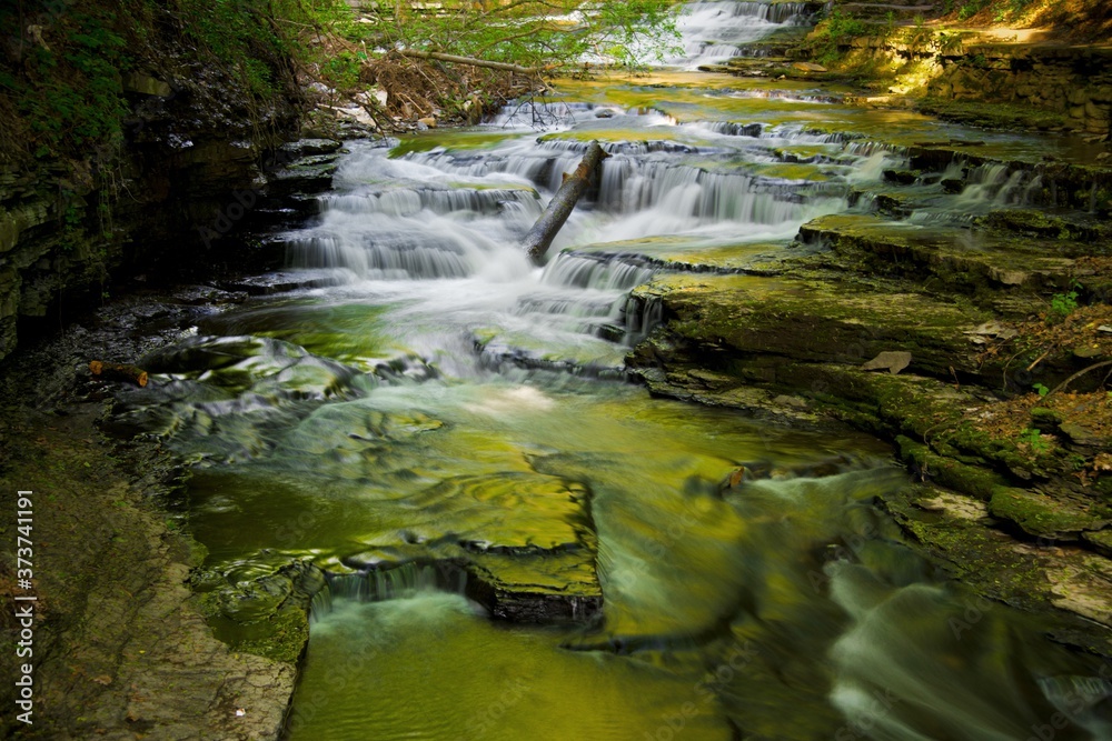 small waterfall in the forest small waterfall in the forest