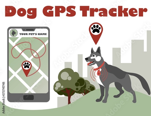 Gps control tracker for walking dog. Pet tracking application. Smartphone with city map and navigation pins show pet movement. Tracking app.