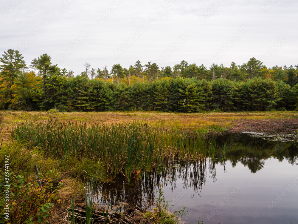 Autumn in New England by Constantine