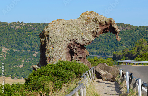 Close up Elephant Rock Roccia dell`Elefante just outside Castelsardo, Sardinia, Italy. photo