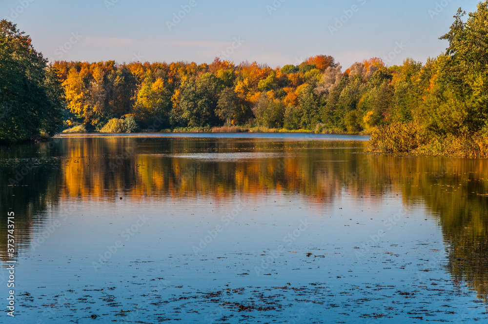 5734  Herbst am Waldsee