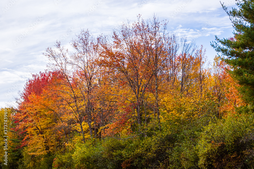 Fototapeta premium Autumn Falls on New England by Constantine