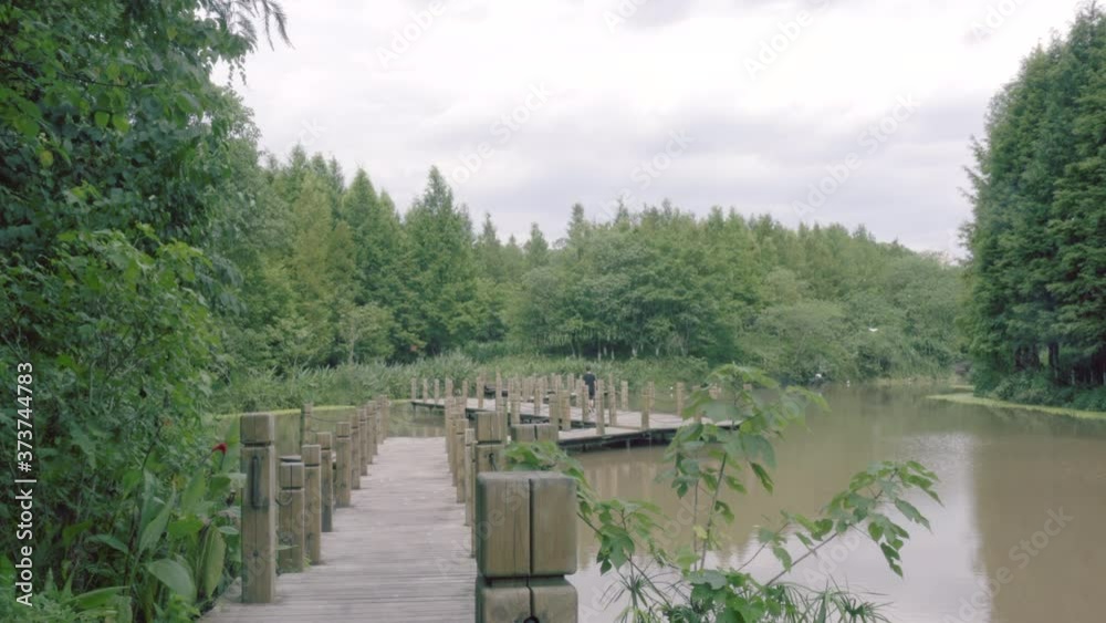 A man walking in a park with egrets A man walking in a park with egrets