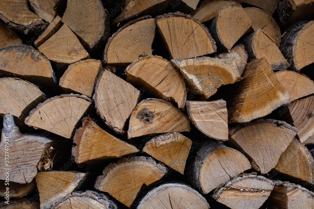 wall of stacked dried firewood under a canopy wall of stacked dried firewood under a canopy