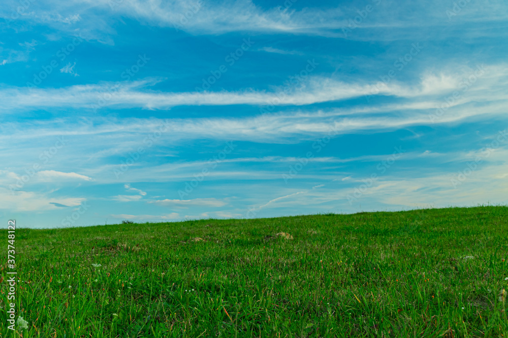idyllic nature wallpaper background landscape green grass field blue sky scenic view in clear weather summer day time with empty copy space for your text