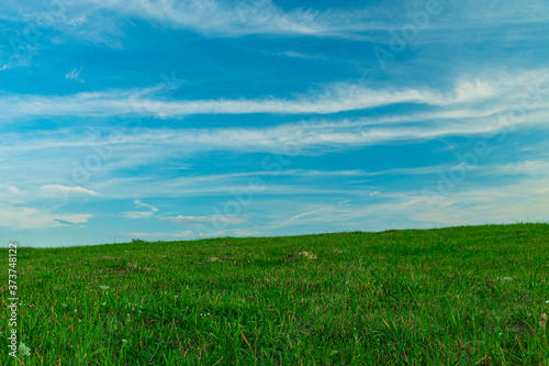 idyllic nature wallpaper background landscape green grass field blue sky scenic view in clear weather summer day time with empty copy space for your text