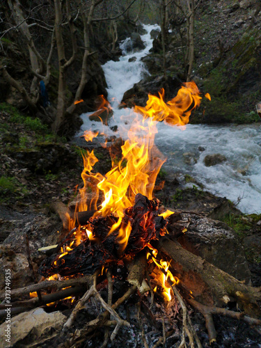 fire in the woods