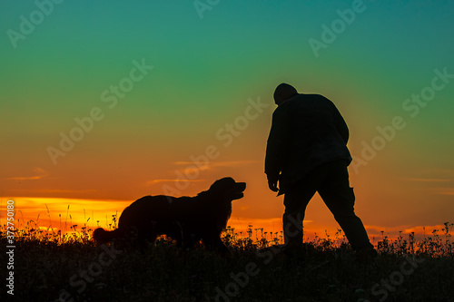 silhouette of a man and a dog, they play together