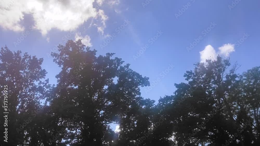 Smooth traveling on trees in front of a blue sky with some white clouds with red flares Smooth traveling on trees in front of a blue sky with some white clouds with red flares