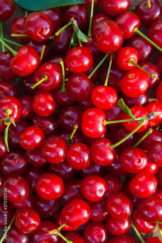 garden cherry berries, food background garden cherry berries, food background