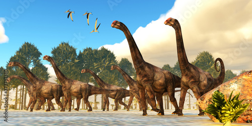 Brontomerus Herd - A flock of Pteranodon reptiles fly over a herd of Brontomerus dinosaurs during the Cretaceous Period. © Catmando