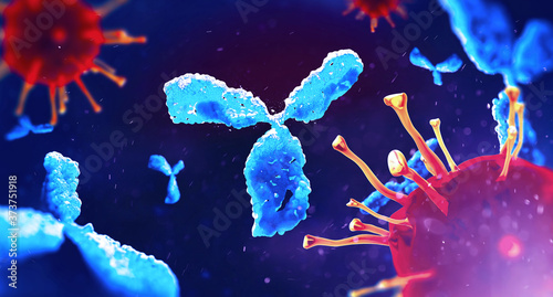 Molecular model of antibody taking part in immune defence. Molecule of immunoglobulin on dark background, 3D illustration photo