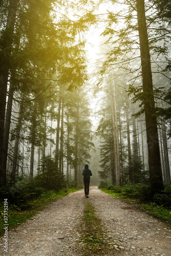 walk in the woods