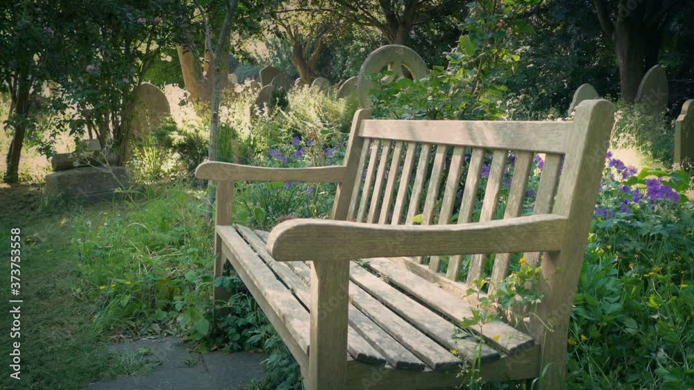 Bench In The Cemetery With Plants And Flowers Bench In The Cemetery With Plants And Flowers