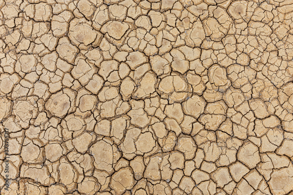 Brown dry soil or desert cracked ground texture background,land arid earth warming. Brown dry soil or desert cracked ground texture background,land arid earth warming.