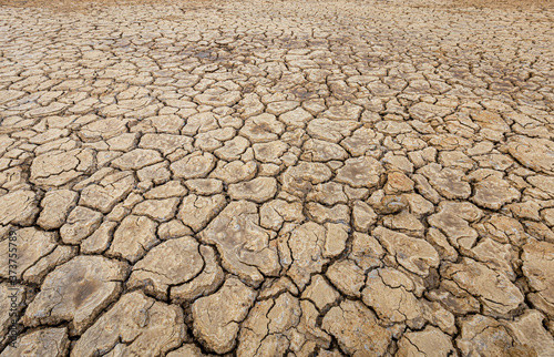 Brown dry soil or desert cracked ground texture background,land arid earth warming.