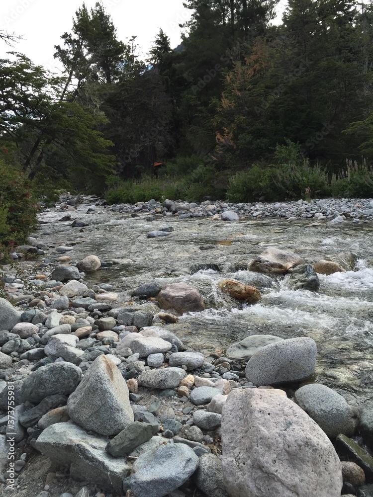 River in the mountains. Bariloche, Argentina River in the mountains. Bariloche, Argentina