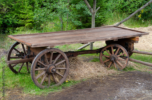 Old wooden cart with four wheels on straw against the background of a green forest.