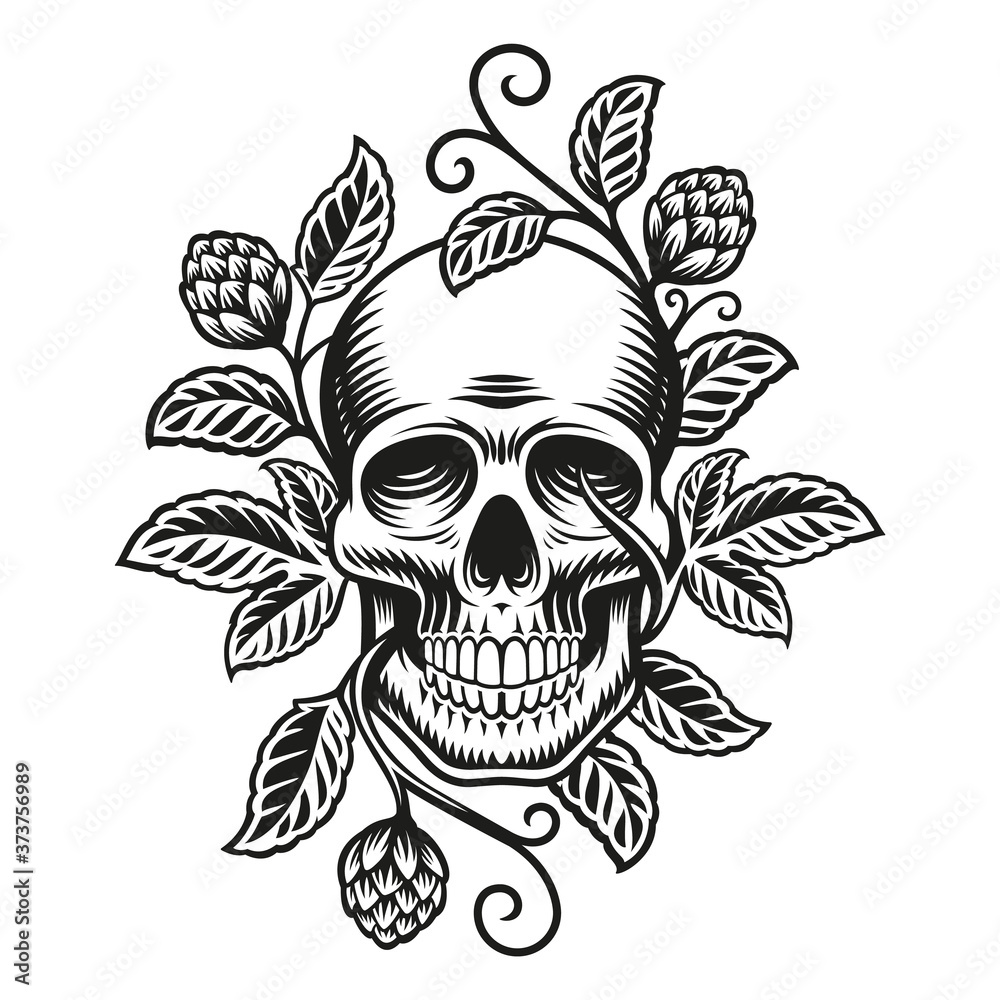 Fototapeta premium A beer skull vector illustration, a skull with hop branches isolated on white background.