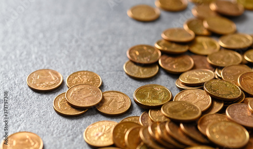 Vászonkép Polish one grosz coins (one hundredth of a zloty), selective focus