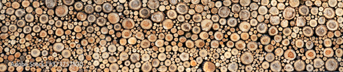 Round wooden slices  background texture. Panorama. High detail