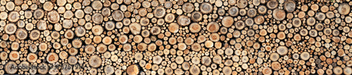 Round wooden slices  background texture. Panorama.