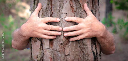 Human hands hugging a tree trunk in the woods - love for nature, earth day concept. An old man hiding behind the trunk. People save the planet from deforestation