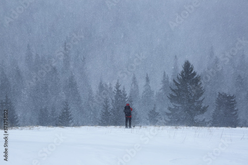 Magical winter forests. Photographer tourist stays on the lawn covered with snow. Snowy background. Nature scenery.