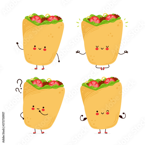 Cute happy burrito set collection