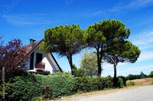 country house in the countryside with pine trees