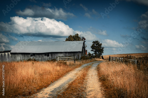 Winding Dirt Road to Farm Land