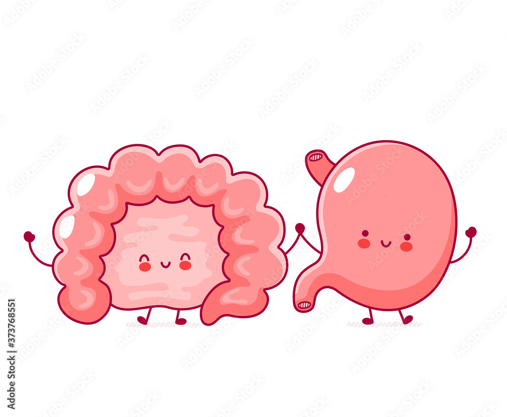 Obraz premium Cute happy human intestine and stomach organ