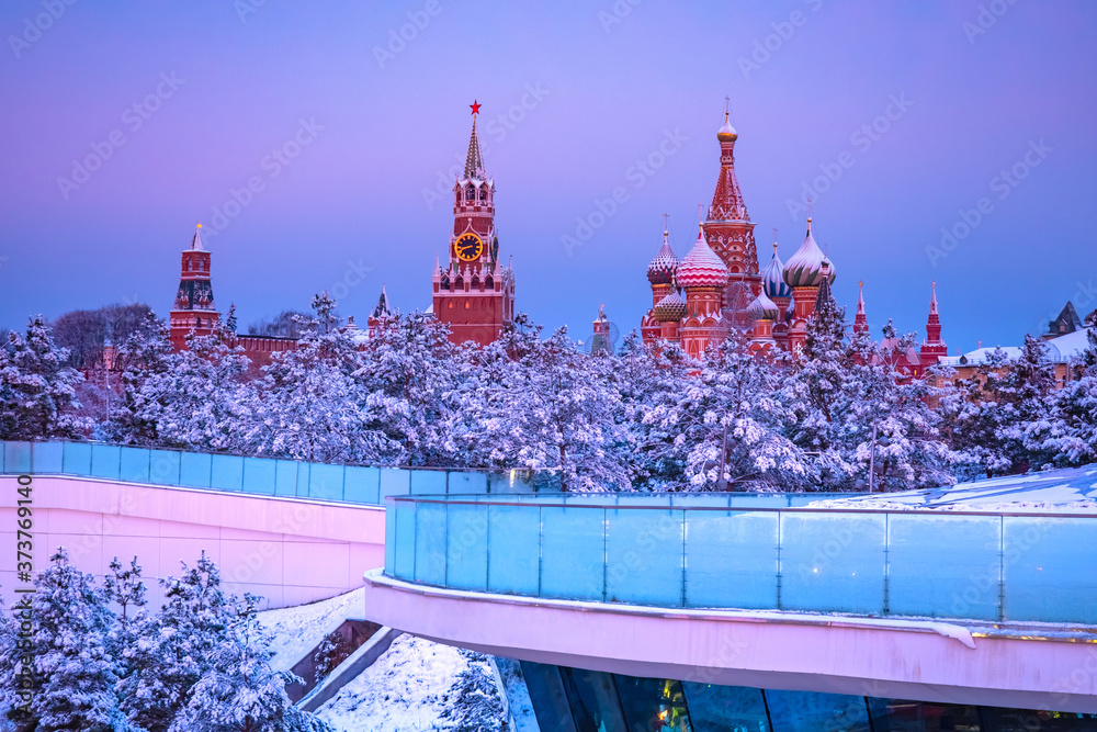Fototapeta premium Moscow. Russia. Winter panorama of the capital. Kremlin on the background of snow-covered trees. Beautiful landscape of the Russian city. Business card of Moscow.