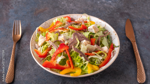 Beef tongue, chicken fillet and fresh vegetable on a plate. Diet salad served with fork and knife