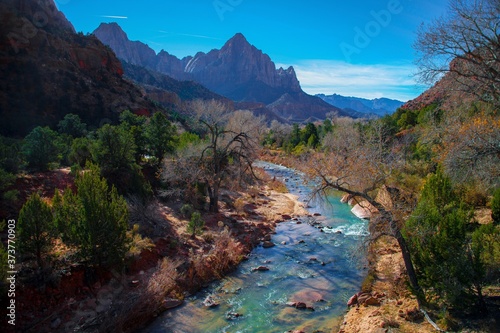 Stream and mountain in Zion National Park