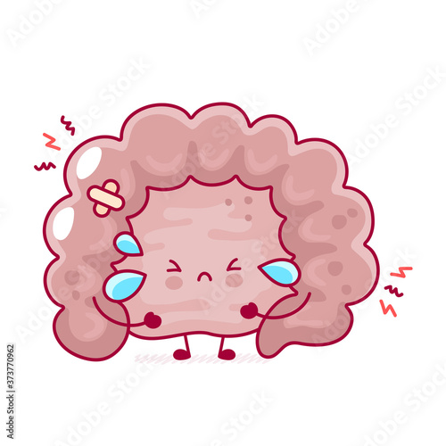 Cute sad funny human intestine organ