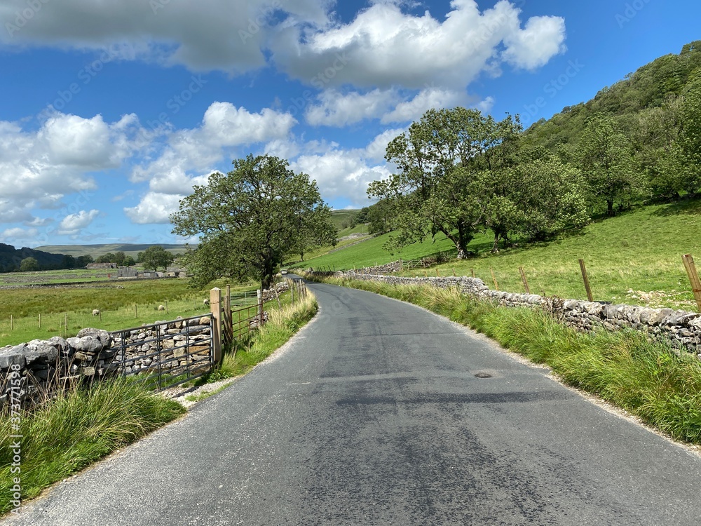 Country road, with dry stone walls, fields, and trees on the road near, Starbotton, Skipton, UK