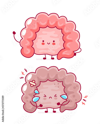 Cute happy and sad funny human intestine organ