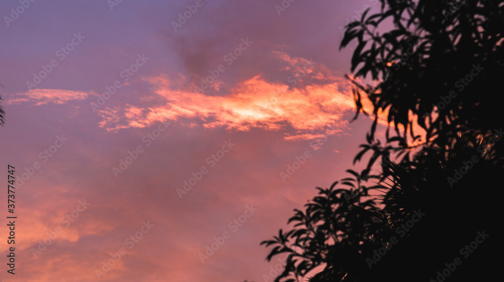 orange coloured sunset sky with coconut leaves.