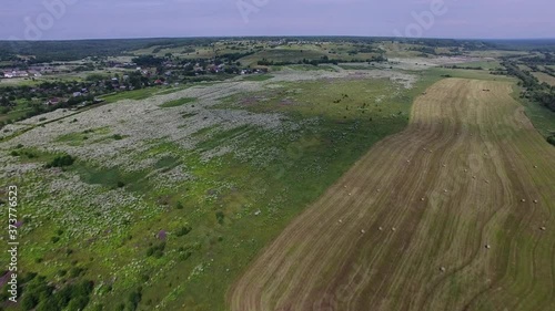Flying over Field.	The video was taken from a drone flying over a field with mown grass. Next to the field is a village