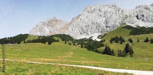 panorama of the alps