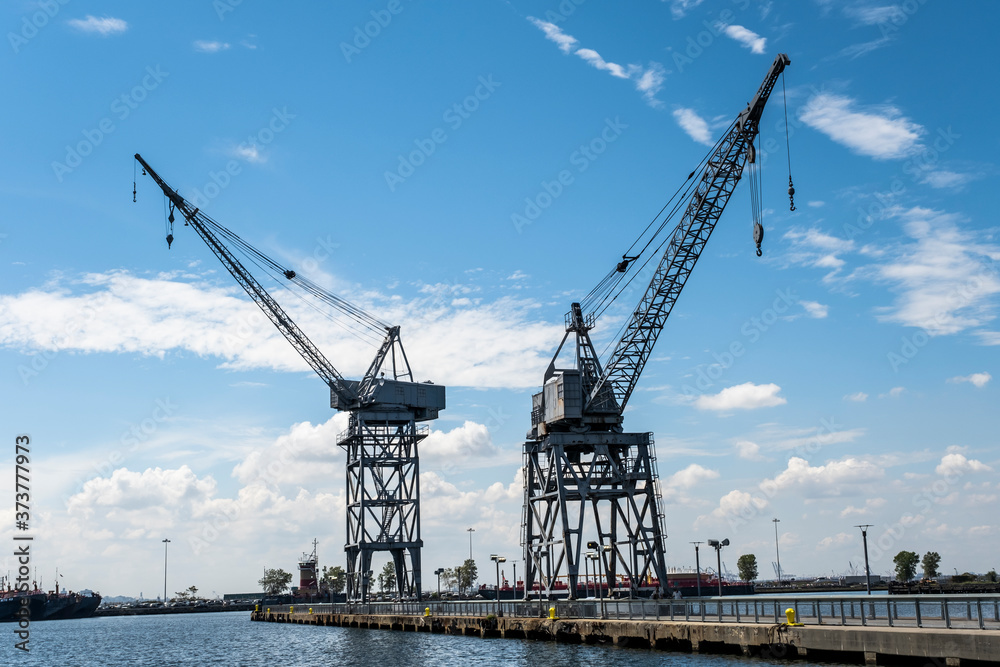 cranes in the harbor