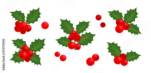 Holly berry vector icons Christmas symbol, holiday plants isolated on white background, winter illustration