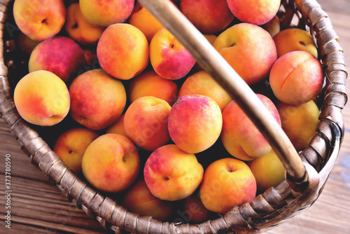 Natural ripe apricots in a wicker basket  top view