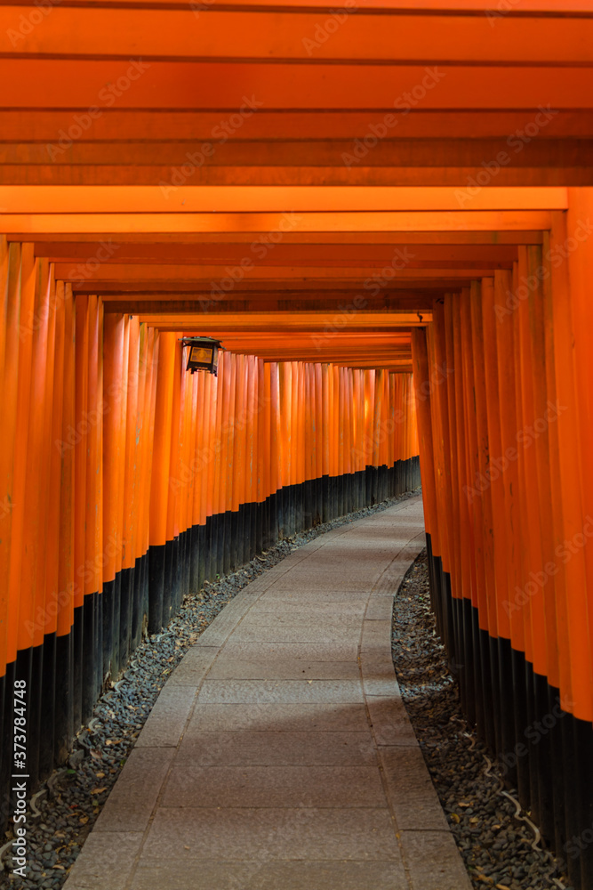 Obraz premium El Santuario Fushimi Inari